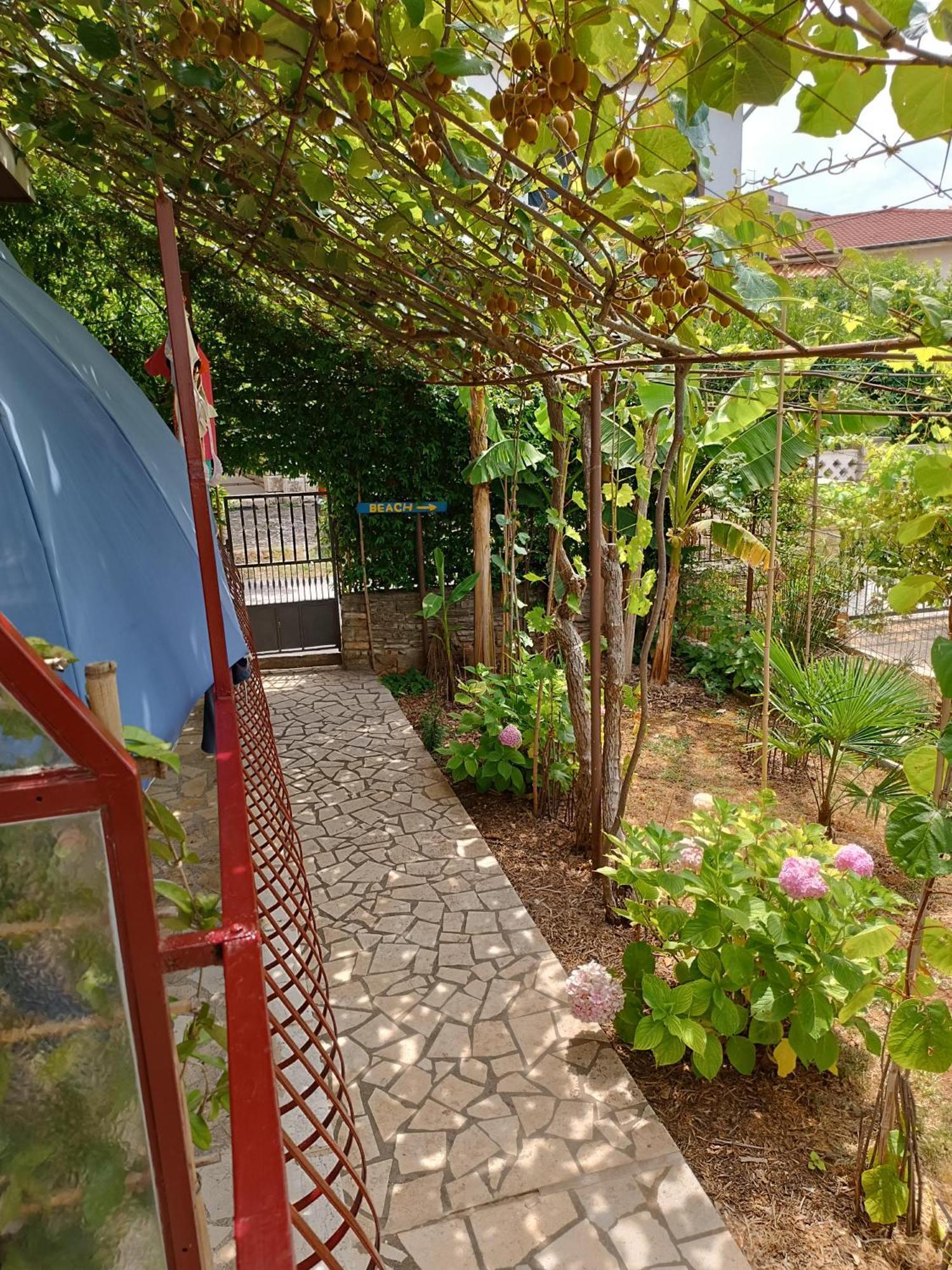 Levak Apartments - Apt. 2 Pjescana Uvala Ngoại thất bức ảnh